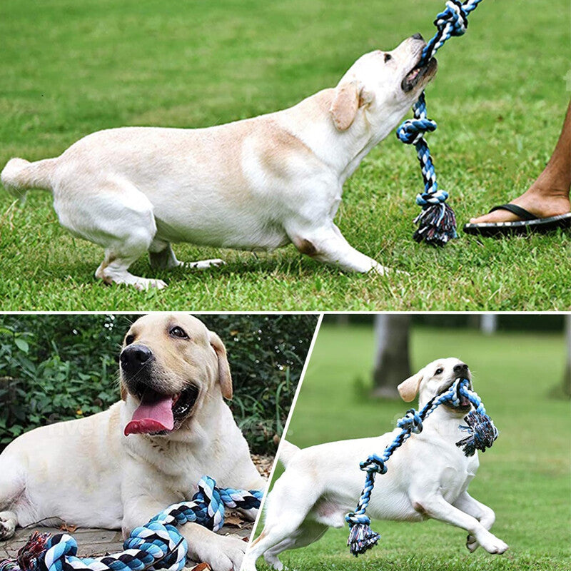 Dog Rope Toys