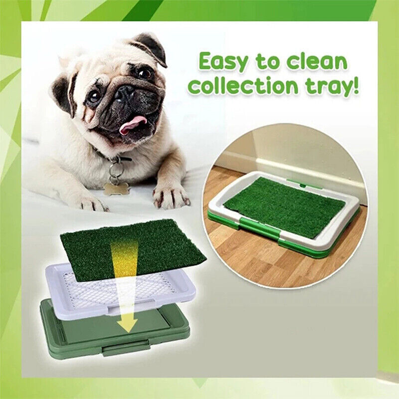 Pet Toilet Mat