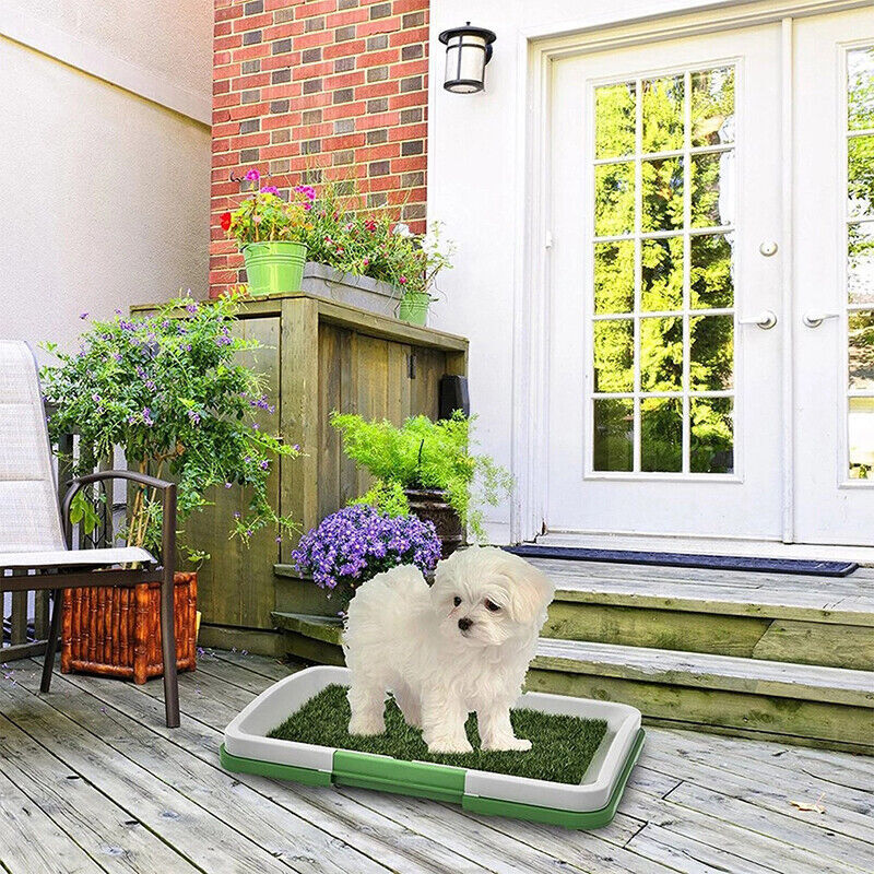 Pet Toilet Mat