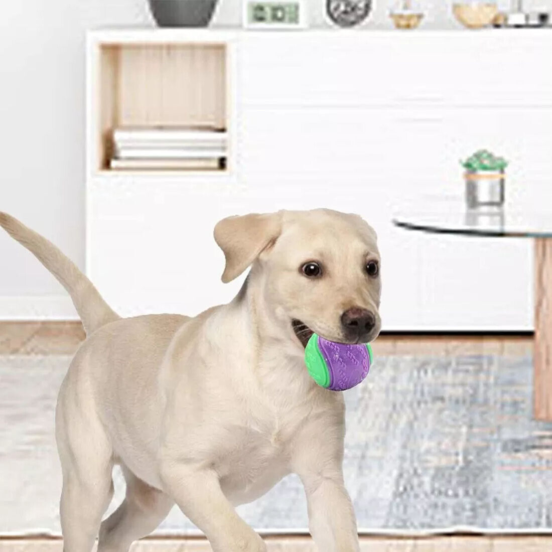 Scooby-Doo Durable Squeaky Set Of 8 Dog Balls For Teeth Cleaning Interactive UK