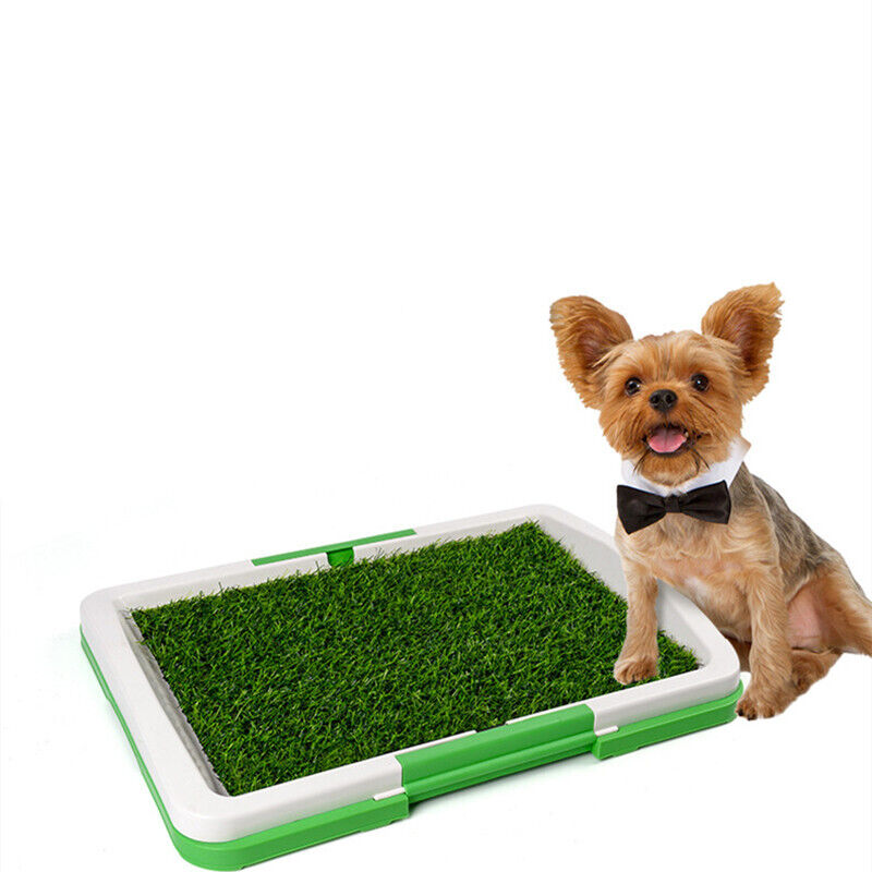 Pet Toilet Mat