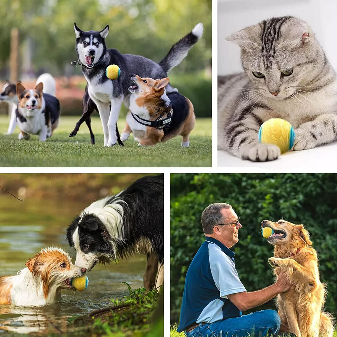Dog Balls For Teeth Cleaning