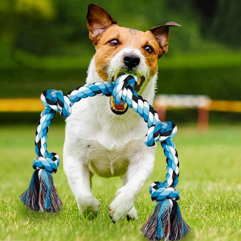 Dog Rope Toys